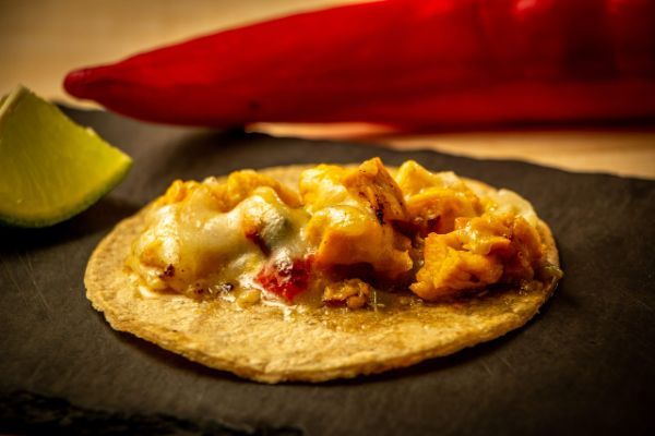 tko taco de alambre de pollo