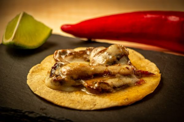 tko taco de champiñon